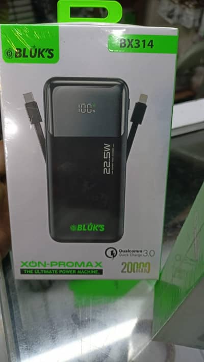 bulk's power bank