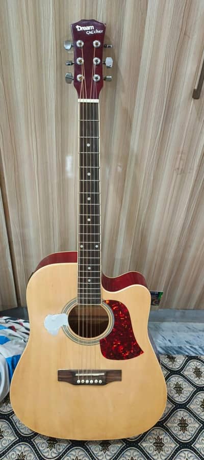 acoustic guitar