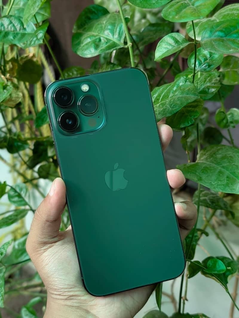 iPhone 13 Pro Max 1