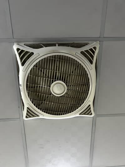 Ceiling Fans For Sale