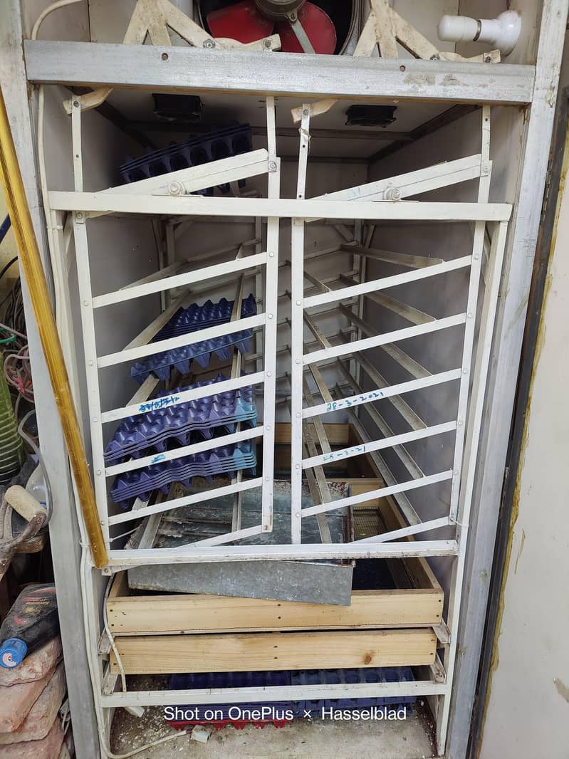 Incubator 4
