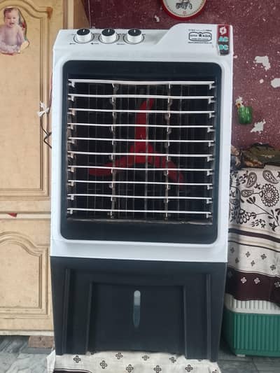 12 Volt Color