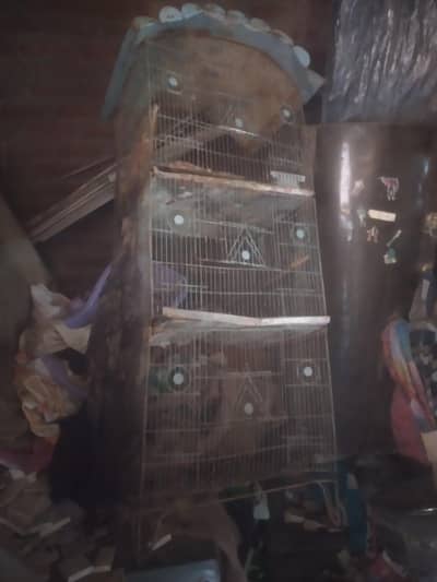 3 portion cage all ok
