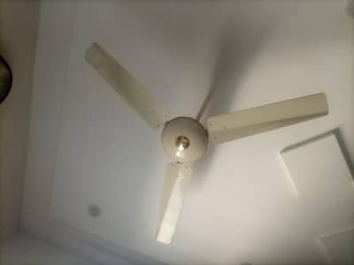 CEILING FAN FOR SALE