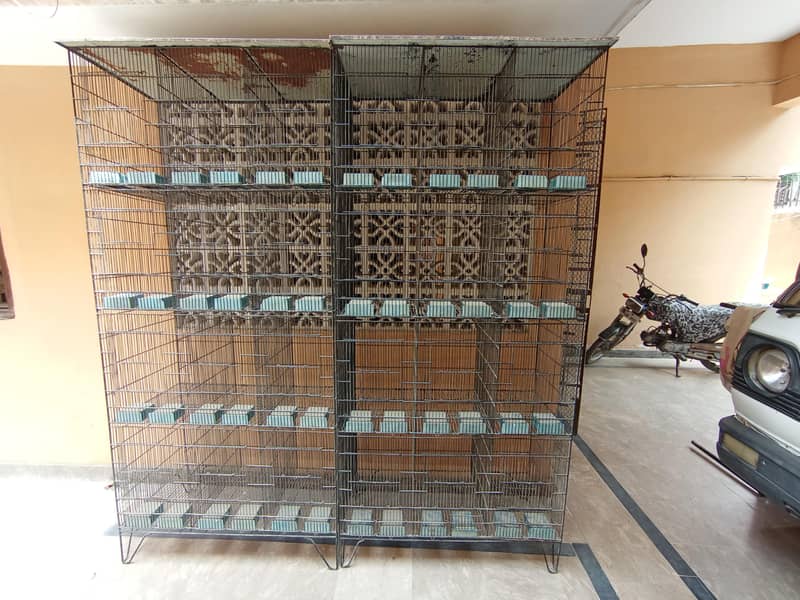 Cages 1