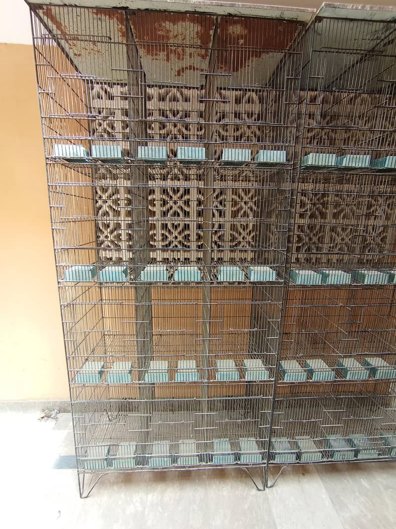 Cages 2