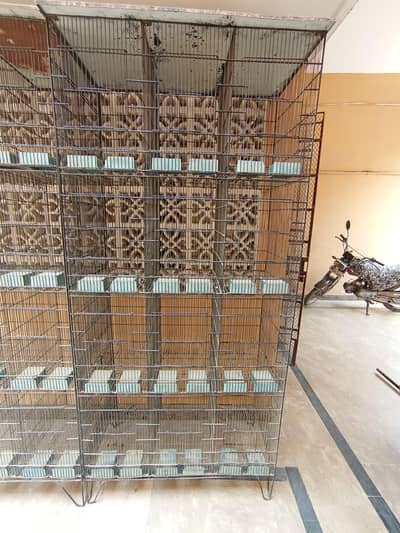 Cages