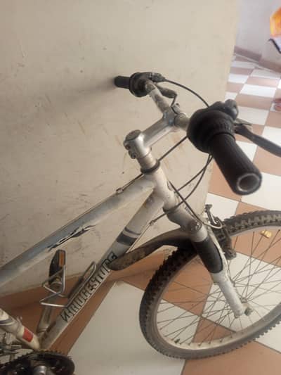 Bridgestone silver less weight cycle
