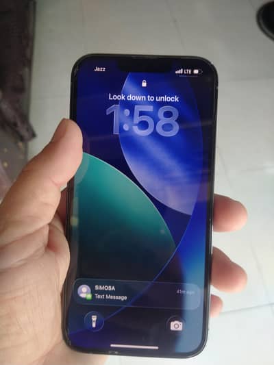 Apple iPhone 13 Pro 10/10
