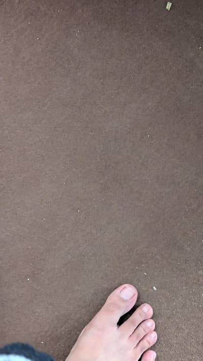 Carpet For sale