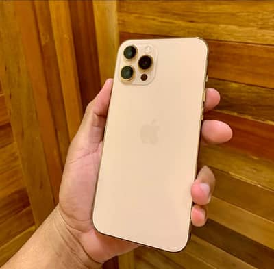 Apple iPhone 12 Pro Max