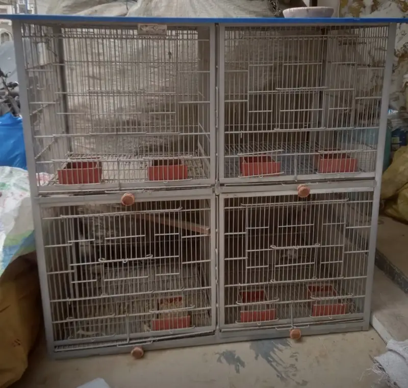 big cage/iron cage/4 portion cage /birds cage/pinjra/Cage/metal cage — photo 7