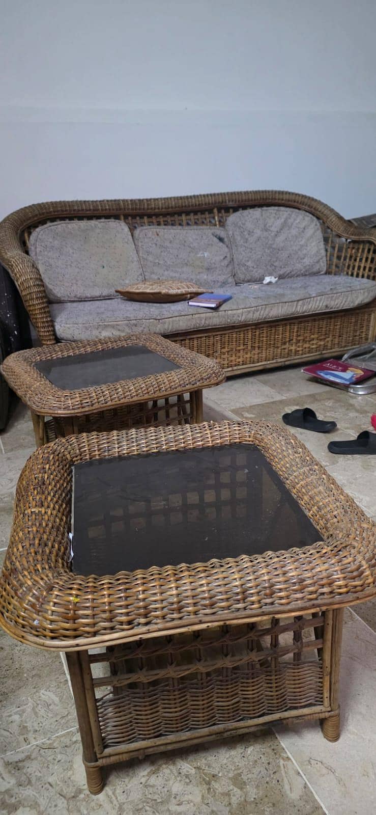Cane Sofa Set 3