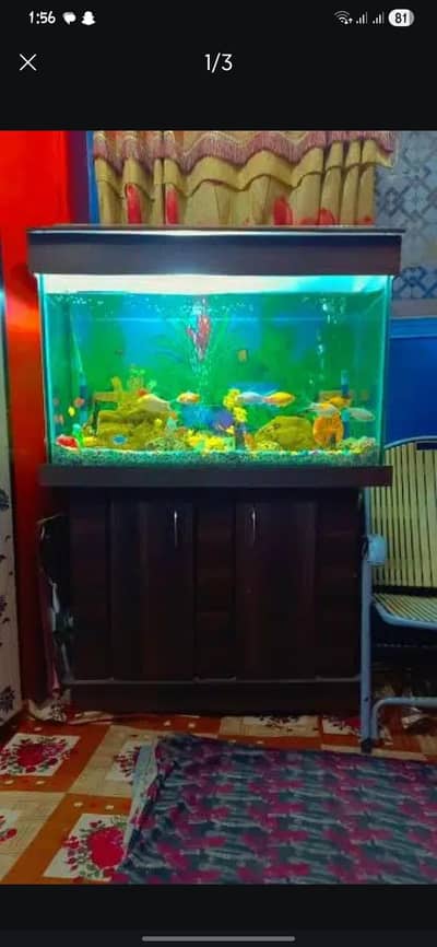 #Aquarium Mash Allah New With Fishes. .