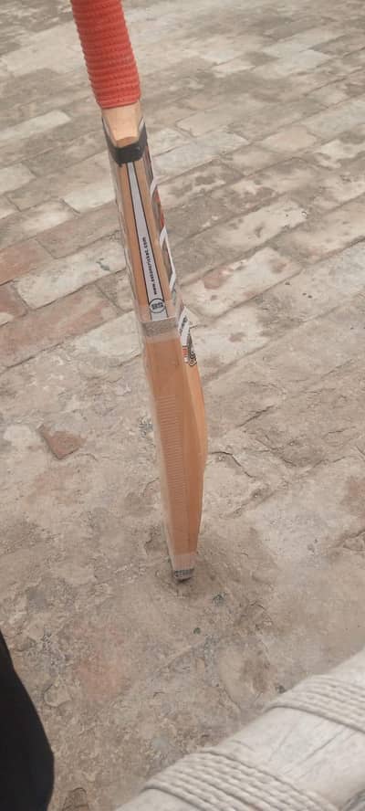 hard ball bat
