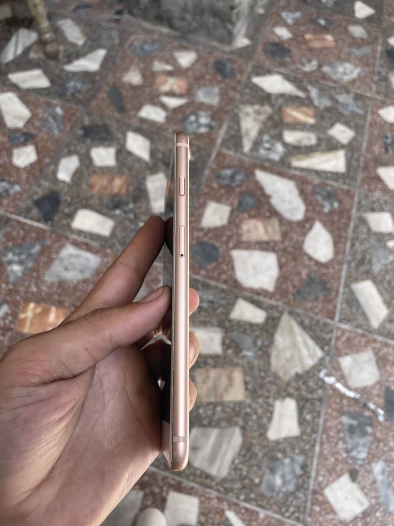 Apple iPhone 8 Plus 1