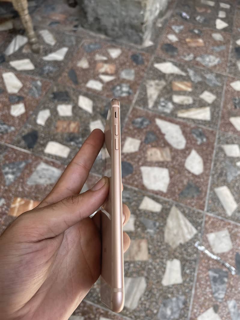 Apple iPhone 8 Plus 4