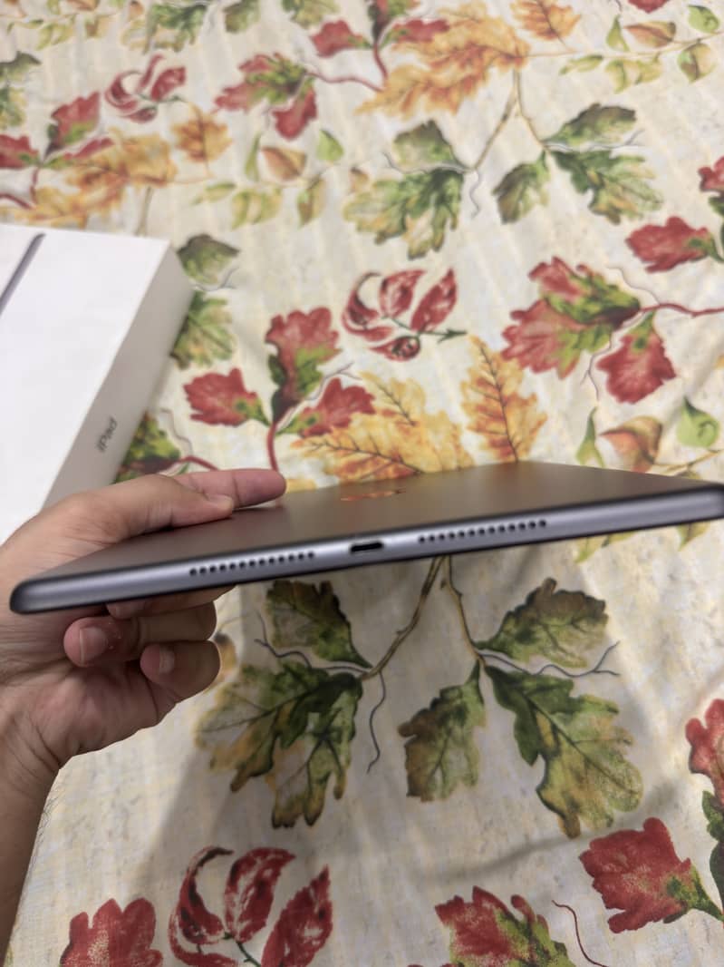 ipad 7 3