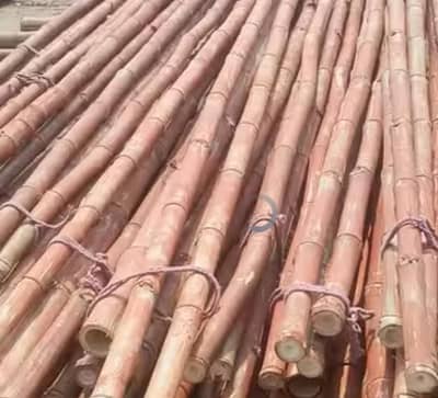 bamboo baans and chik