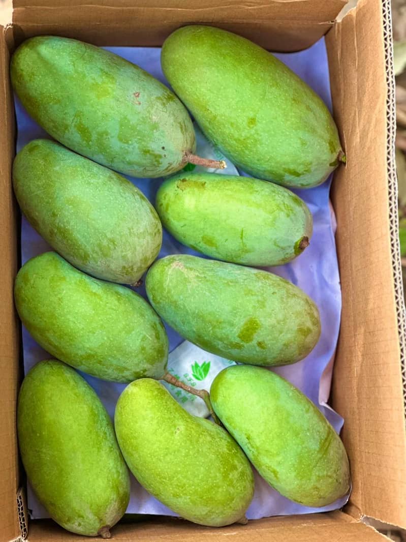 multani mango 2