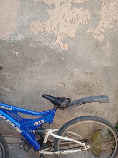safari bicycle