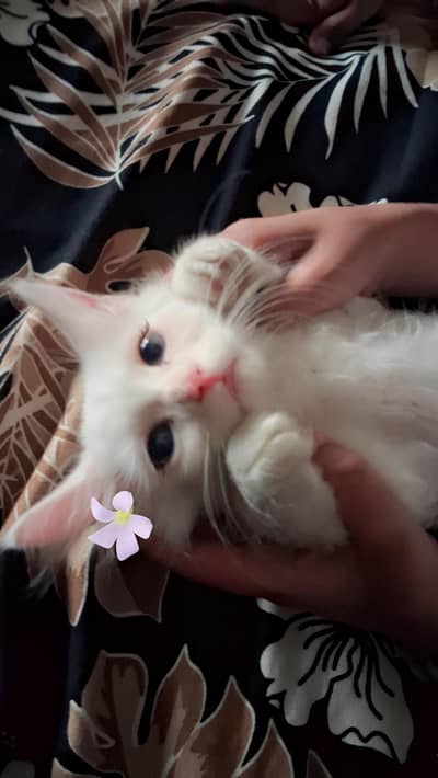 Two cute
