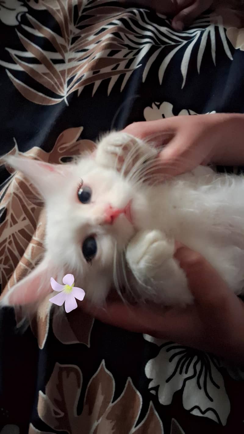 Two cute 0