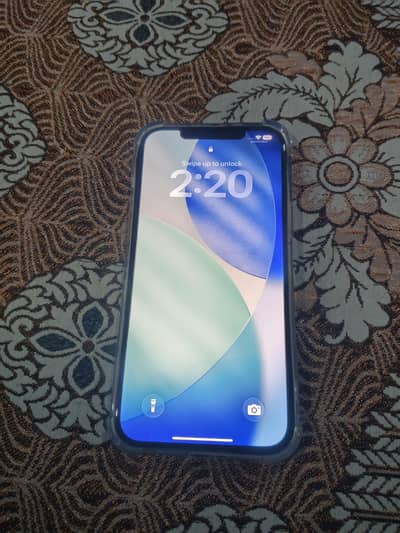 Apple iPhone 12 Pro Max