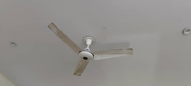 pak fan
