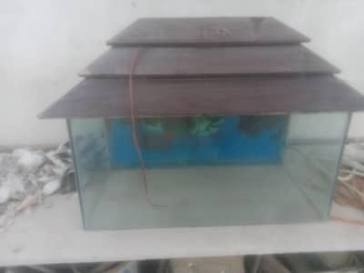 Aquarium for sale with all accessories