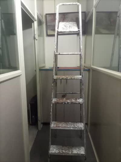 Folding Ladder