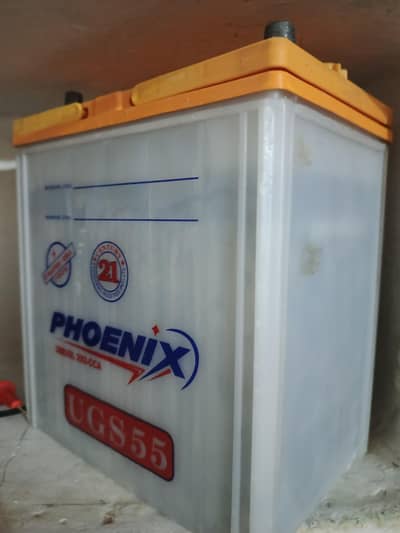 phoenix battery 12 volt