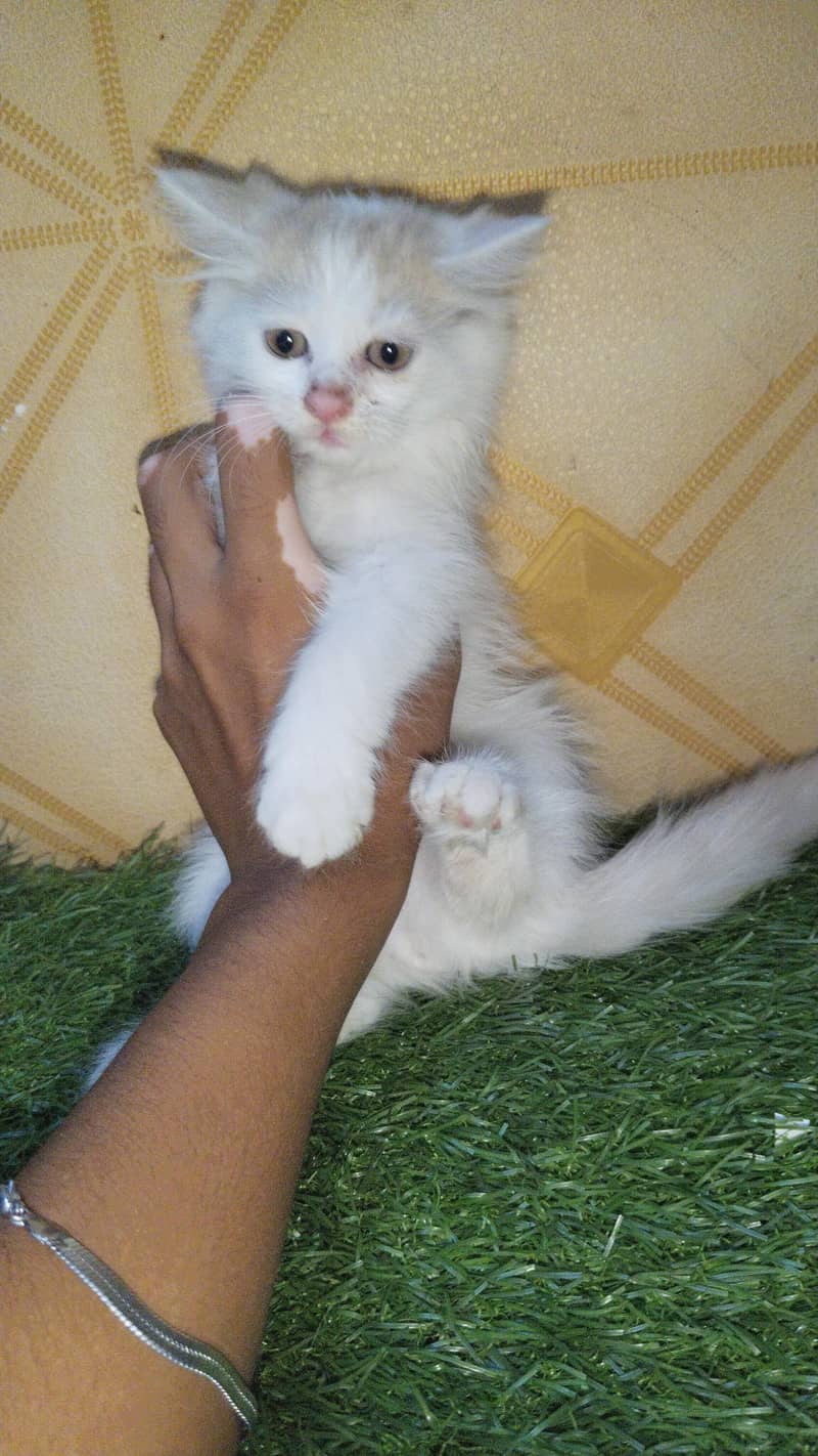 for sale 0