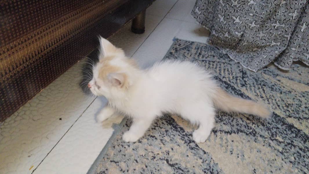 for sale 1