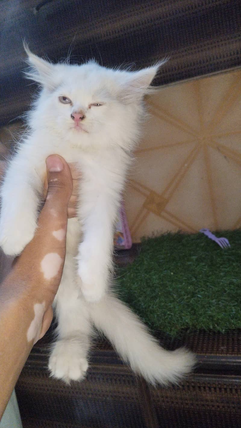 for sale 4