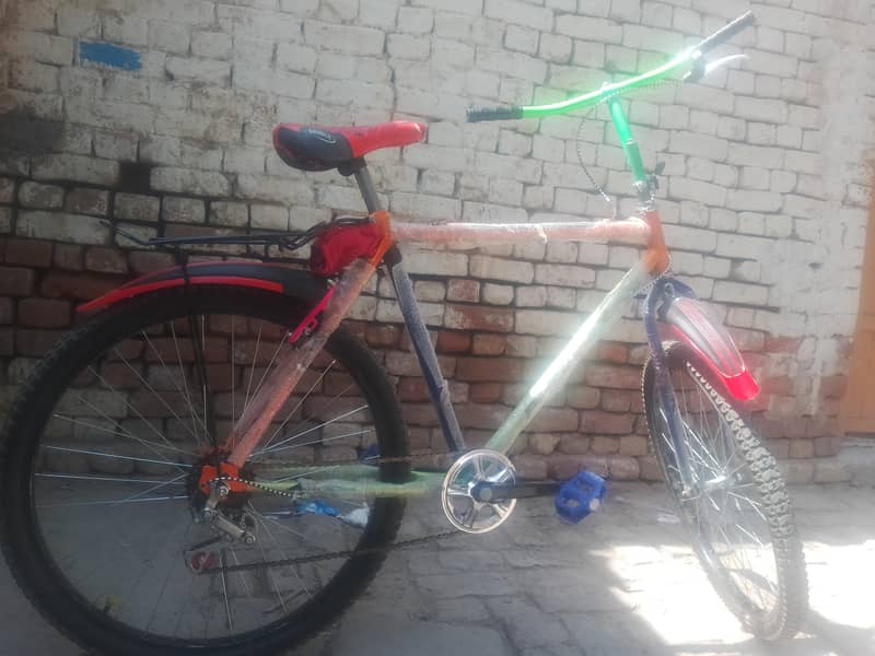 single frame cycle 1