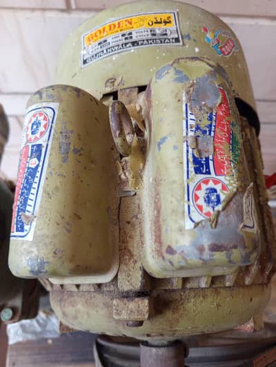 Motor & Pump