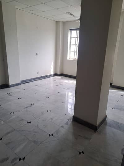 best option for software house