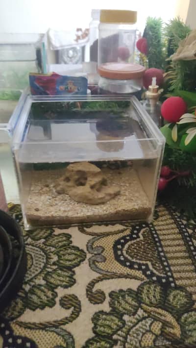 AQUARIUM FOR SALE