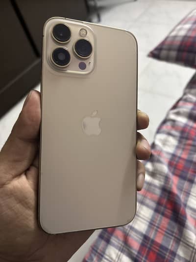 iPhone 13 Pro Max FU