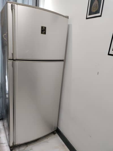 large size Refrigerator for