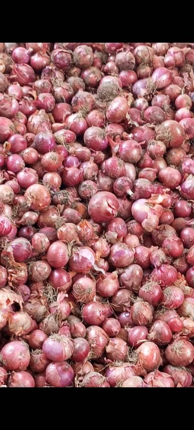 Desi Red onion / piyaz