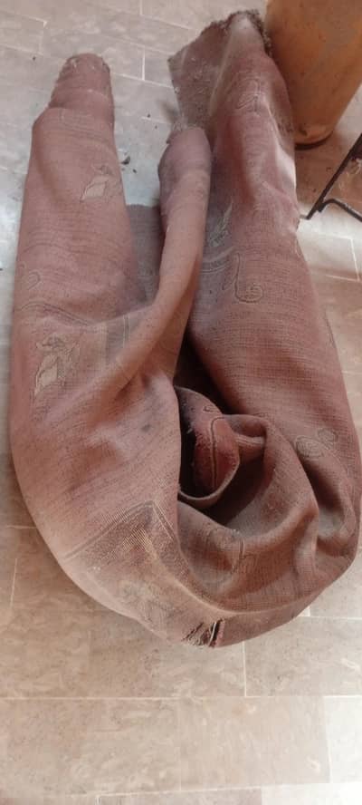 Carpets In Low Price