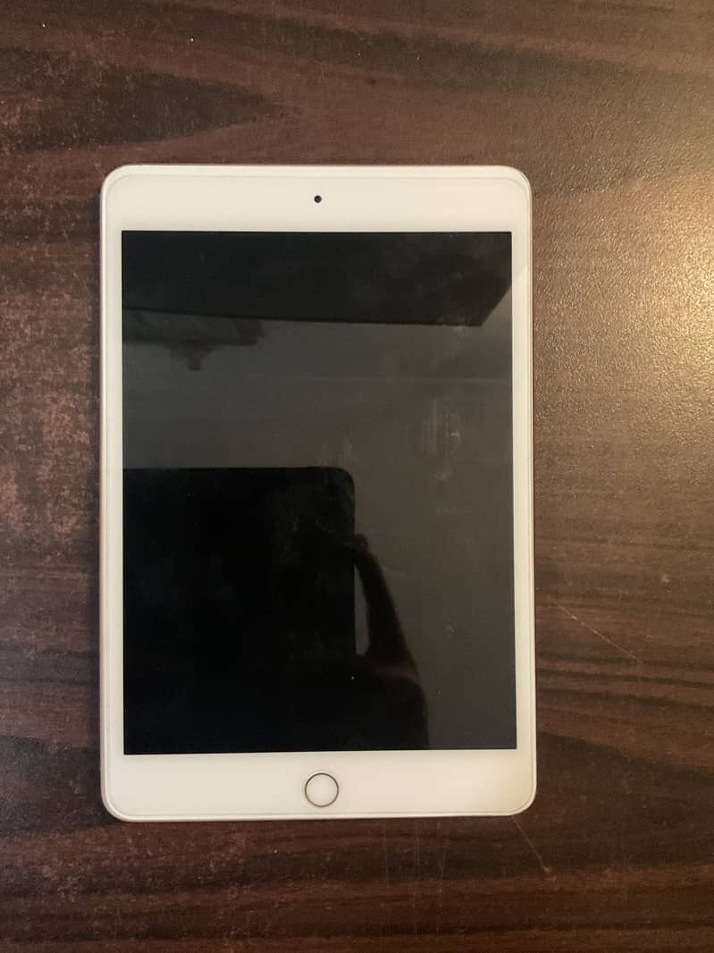 iPad mini 5 0