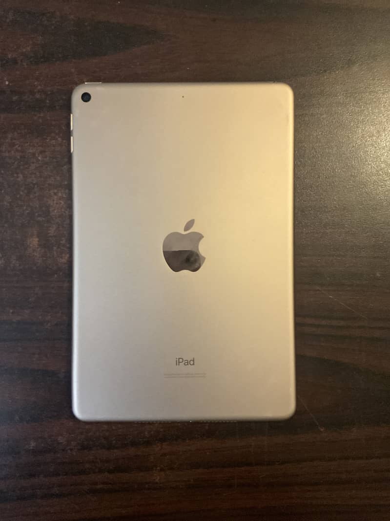 iPad mini 5 1