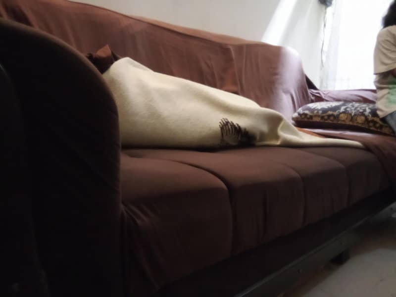 Sofa bed 2