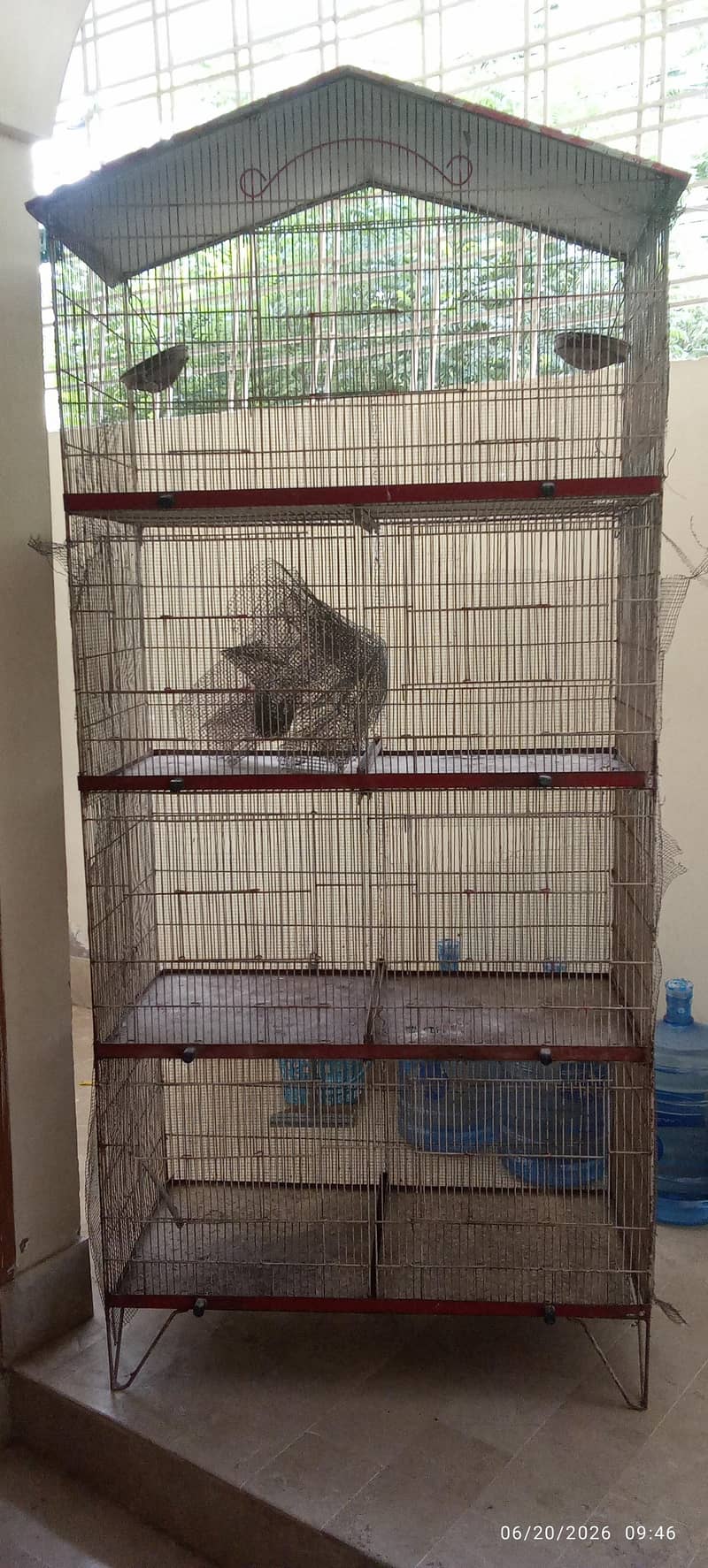 Cages 0
