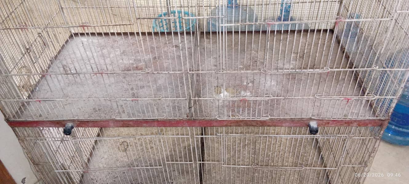 Cages 1