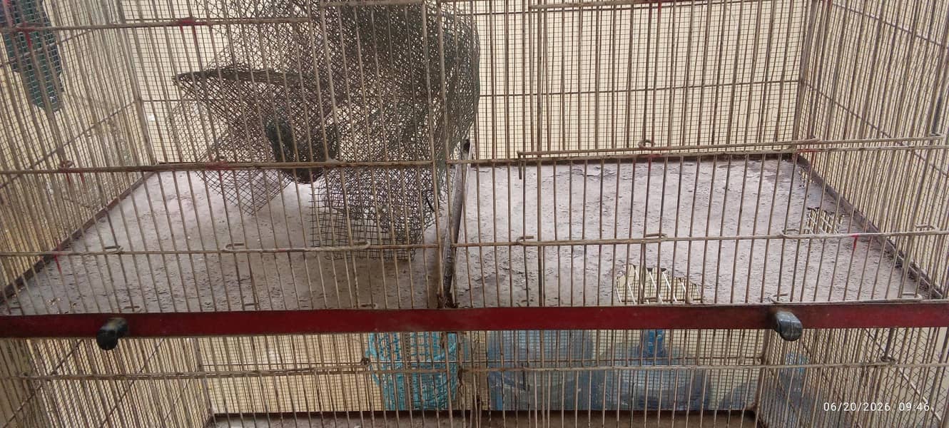 Cages 3