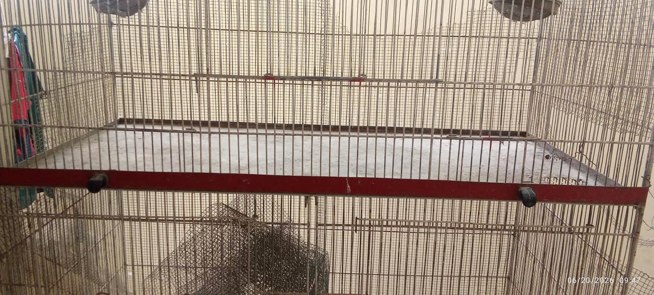 Cages 4